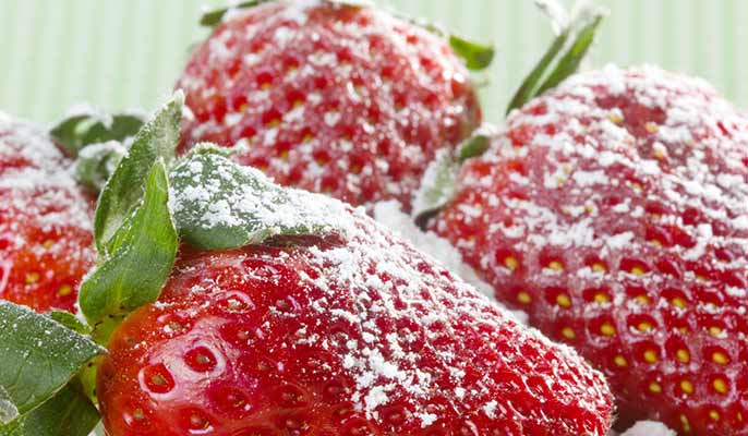 fraises sucrees